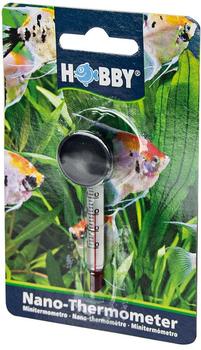 Hobby Nano-Thermometer