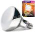 Arcadia D3 UV Basking Lamp