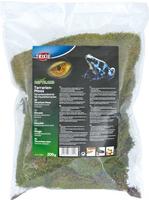 TRIXIE 76155, TRIXIE Terrarien-Moos, Substrat f&uuml;r Feuchtterrarien, 200 g,