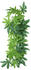 Trixie Reptiland Seiden-Hängepflanze Abutilon ø20×30cm