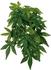 Trixie Reptiland Seiden-Hängepflanze Abutilon ø20×50cm