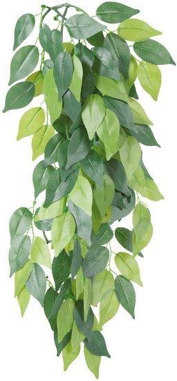 Trixie Reptiland Seiden-Hängepflanze Ficus 20×30cm