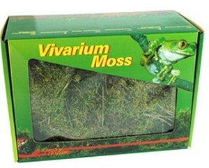 Lucky Reptile Vivarium Moos