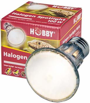 Hobby Diamond Halogen Spotlight (35 W)