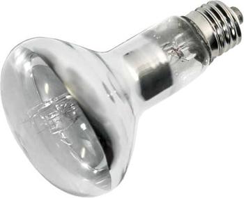 Hobby UV Eco vital 70W