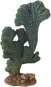 Hobby Kaktus Victoria 2