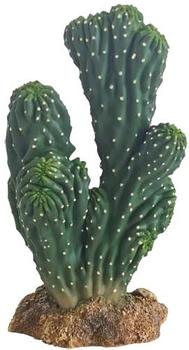 Hobby Kaktus Victoria 1