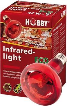 Hobby Infraredlight Eco 70 W (37584)