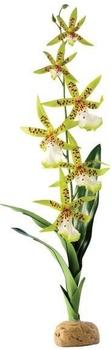 Exo Terra Spinnen Orchidee (PT2991)