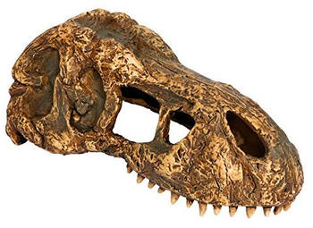 Exo Terra T-Rex Skull (PT2860)