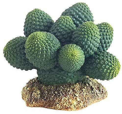 Hobby Atacama cactus 7 cm (37018)