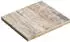 Diephaus Betonplatte iStone Pure muschelbeige 50 x 50 x 4 cm