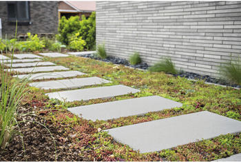 Diephaus Betonplatte zementgrau mit Fase 60 x 30 x 4 cm