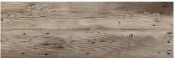 Eurostone Terrassenplatte Nature Feinsteinzeug 40x120cm Braun