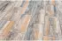 Diephaus iStone Modern muschelkalk 80 x 40 x 5 cm