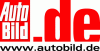 Auto Bild: 12 Multiöl im Vergleich test