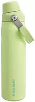 Stanley Go Iceflow Fast Flow Flasche 600 ml Zitrone