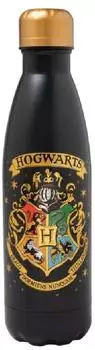Erik Hogwarts Trinkflasche, Edelstahl, 500ml (BMHC057)