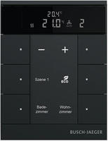 Busch-Jaeger Raumtemperaturregler 6fach, schwarz matt SBR-F-6.0.11-885