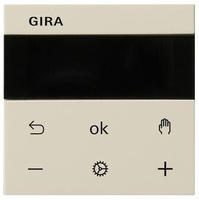 Gira RTR Display 539301