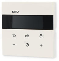Gira RTR Display rws 5393112 (5393112)