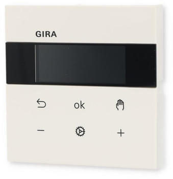 Gira System 3000 RTR Display Flächenschalter reinweiß