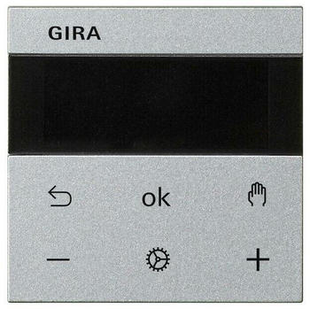 Gira System 3000 RTR Display System 55 Farbe Alu