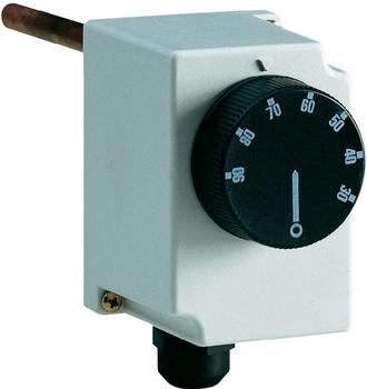 Sesam-Systems Industrie-Thermostat mit Tauchfühler 1TC TB065