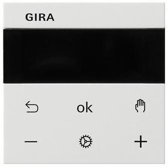 Gira System 3000 RTR Display System 55 reinweiß glänzend