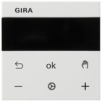 Gira System 3000 RTR Display System 55 reinweiß seidenmatt