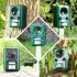 VOSS.Sonic 2000 Solar