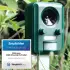 VOSS.Sonic 2000 Solar