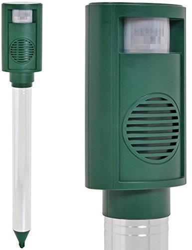 VOSS.Sonic 3100