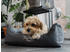 TrendPet Viscado orthopädisches Hundebett grau M