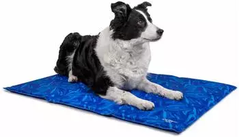 TrendPet Arctic Comfort 20 mm premium K&uuml;hlmatte blau M