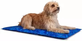 TrendPet Arctic Comfort 20 mm premium K&uuml;hlmatte blau S