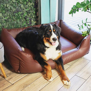 4L Textil MARIO Hundebett Kunstleder braun 120x90cm
