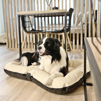 4L Textil ELLA Hundematratze Kunstleder