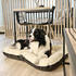 4L Textil ELLA Hundematratze Kunstleder