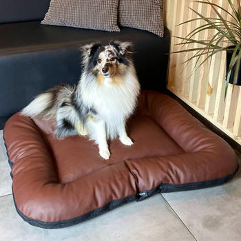 4L Textil ELLA Hundematratze Kunstleder