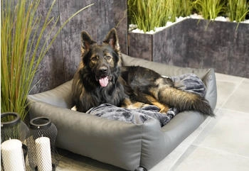 4L Textil Mario Hundebett Kunstleder grau 140x110cm