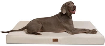Tierlando HUGO BASIC Hundematratze creme 150x13x100cm