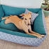 4L Textil OTTO Boho Hundekorb