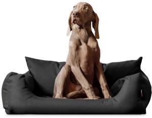 Tierlando NEMO Hundebett Hundesofa S M L Hundekorb Katzenbett 65 80 100cm schwarz/ graphit 65 cm, 20 cm, 50 cm
