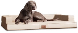 Tierlando ® Orthopädisches Design Hundesofa GIBSON VISCO Kunstleder kubische Form creme 80 cm, 22 cm, 60 cm