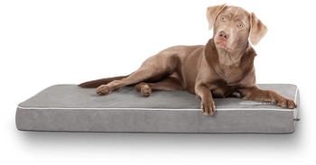 Knuffelwuff Hundematte Maui aus Velours mit 9cm Schaumstoff grau L