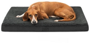Lionto orthopädisches Hundebett, 91x69x8 cm, für Hunde & Katzen, schwarz