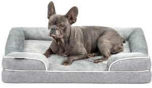 Lionto orthopädisches Hundebett mit erhöhtem Rand rutschfest S