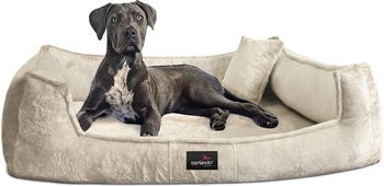 Tierlando ® Orthopädisches Hundebett FRANKLIN Kuscheliger Teddy-Stoff - Hundesofa creme 1,1 m, 22 cm, 90 cm