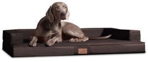 Tierlando ® Orthopädisches Design Hundesofa GIBSON VISCO Kunstleder kubische Form braun 80 cm, 22 cm, 60 cm